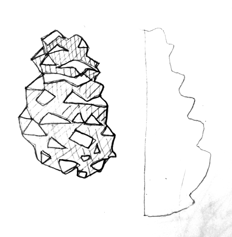 Stylized Pine Cone